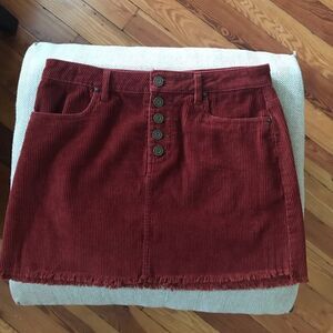 Indigo Rein Mini Skirt 